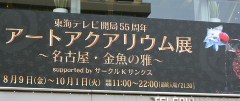 m8y84ty646e93vo393vx_480_480-8fd7801a.jpg