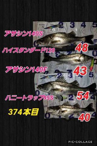 m9287k5hdwokri4vvd7h_480_480-35cf4f08.jpg
