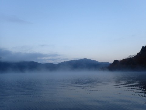 m982bx43g6768t6ztnxg_480_480-d04e2aa5.jpg