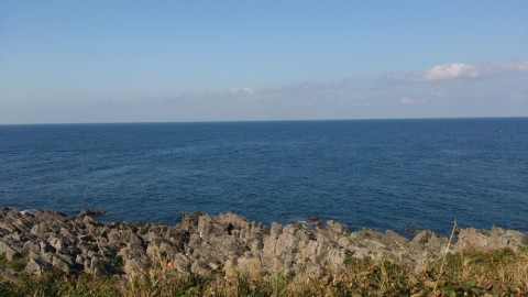 m9ybdiwyfuayw8sr88gi_480_480-5d667234.jpg