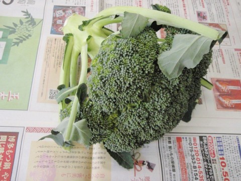 mUJepXXOvRFdbcnKFci4_480_480-d41f6069.jpg