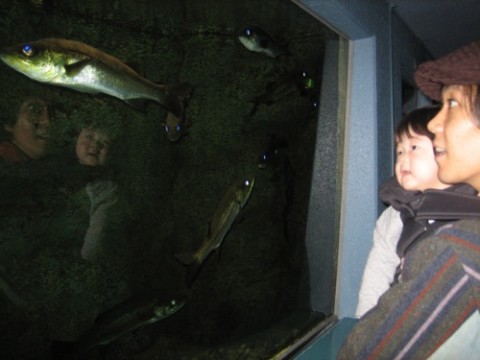 mVURwS5soVxknZbbzDaW_480_480-81e28133.jpg