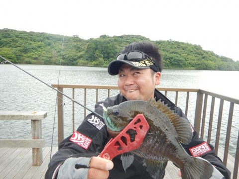 ma8up6kmi24obxk6igfz_920_690-6be421d9.jpg