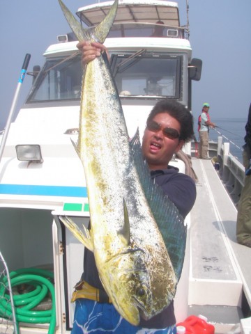 maLonkY9jjT7SaDetue4_480_480-6617696d.jpg