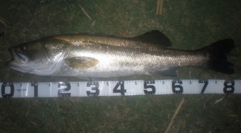 maapopymuipu9pocwcde_920_509-85651666.jpg