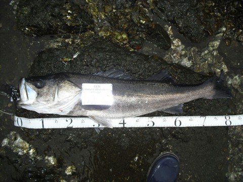 mabgnh67oynzki58hcm8_920_690-02acaff7.jpg