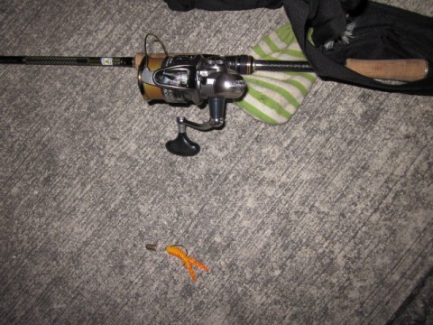 mag776trff934xykgghe_480_480-c18492aa.jpg