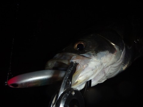 mawpn8m4apwiwxcyuijo_920_690-c639cf31.jpg