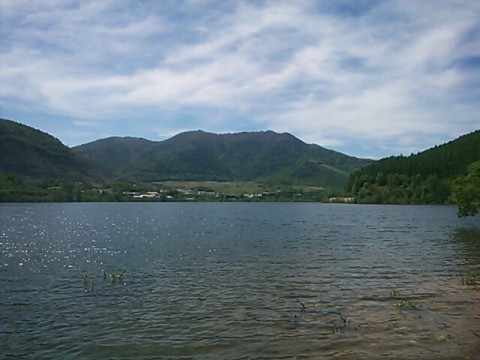 mawr8kzshfgarwdo3v6j_640_480-0028126a.jpg