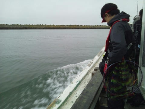 mazoa2goc44yz8y2v8fe_920_690-85300f6a.jpg