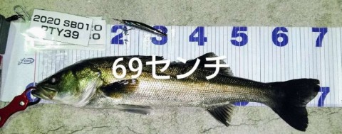 mb4f8bahxwuaybtj98gd_480_480-0b2278e2.jpg