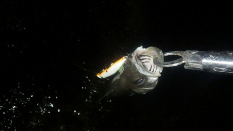 mbfbo933y5nmzziikhpv_920_518-c5c9e332.jpg