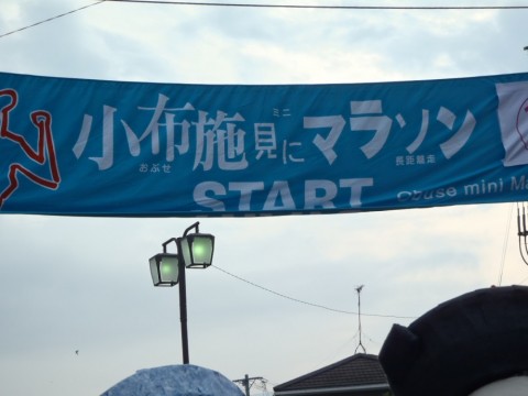 mbwyr3s7wuoy3iexcfcs_480_480-52e6f965.jpg