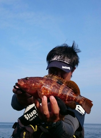 mc9bzvn4x7fky7d88jbe_678_920-911616e1.jpg