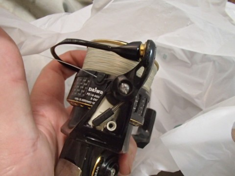mcitoasvwugfg5fvsfuf_480_480-9c7ef70a.jpg
