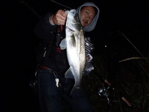 mcvev65tak9kg6uncitd_480_480-43ea907f.jpg