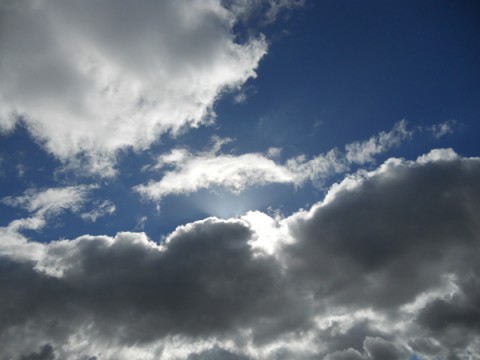 md23tpoxmokg4otgpag4_480_480-d8910b89.jpg
