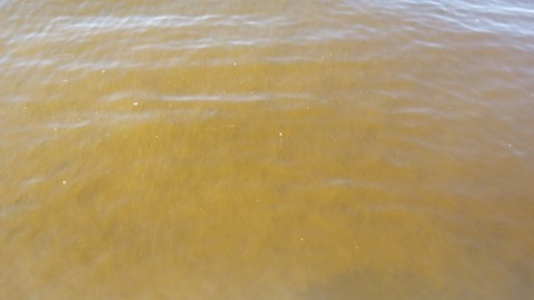 mdhw46ns93cht2u5sh34_480_480-3a7723ac.jpg