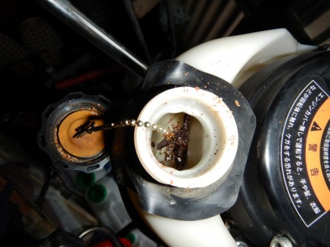 mdibpw49xaupzrmgdx25_480_480-04e6502a.jpg