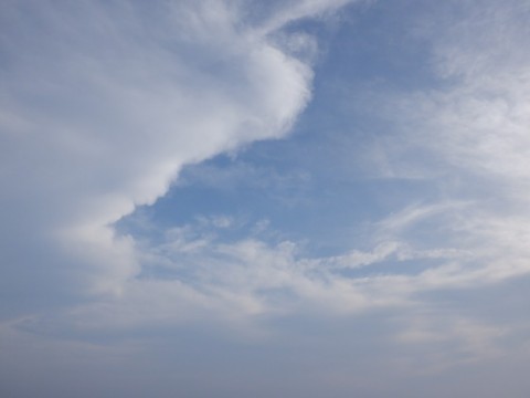 mdozkdrtc3cvh58wdh2r_480_480-3509acd9.jpg