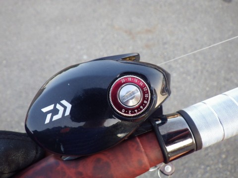 mdrc3w3co5pk3nnkg6s3_480_480-777b23da.jpg