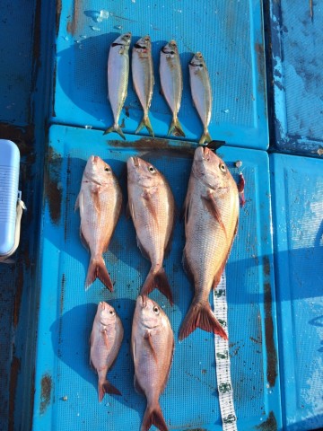 mdrykjorxa9v6yc364c7_690_920-0218c78d.jpg