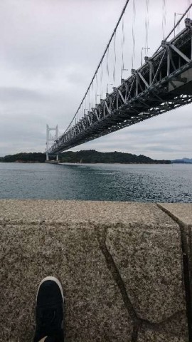 mdupzh28f2jmkh5r42c7_480_480-98238109.jpg