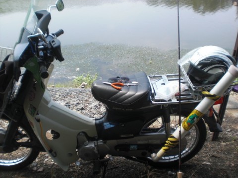 mdv29web74ozphhamc8k_480_480-e15826b9.jpg