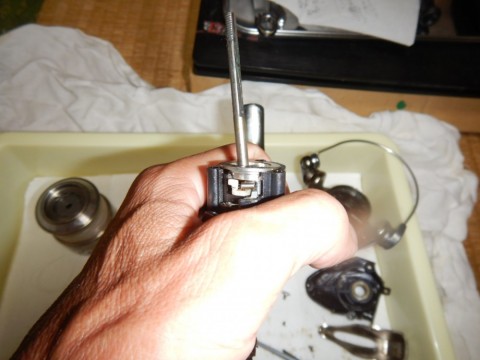 me7p6iraxymjsdiwuvbh_480_480-fb8d276a.jpg