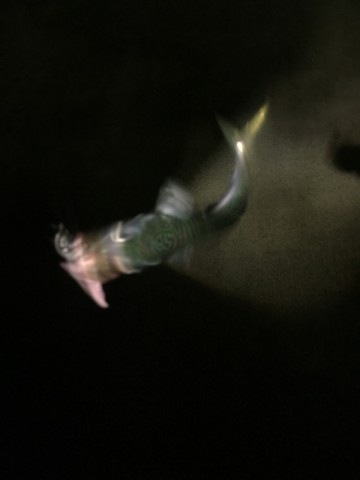 mejwy8uptgwcm3jho6ps_690_920-9313f4ba.jpg