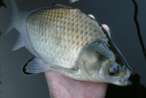 meunttzio4beavvradkj_920_618-6b8960dc.jpg