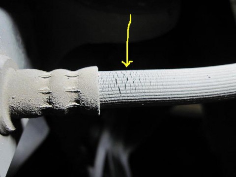 mey6aoxuib3fkak2n5zk_480_480-a18e773a.jpg