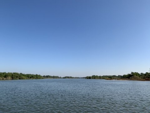 mf6pv4edv4ccxzrnamtv_480_361-6ab4f70a.jpg