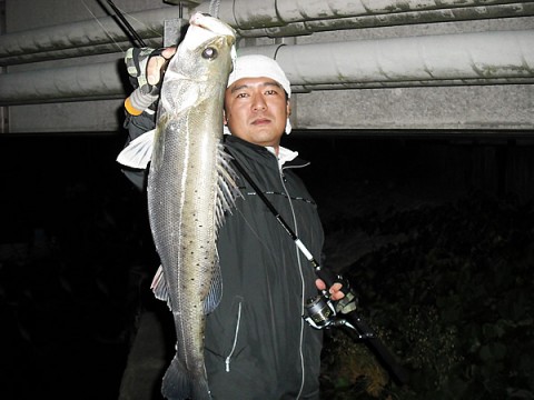 mfdgwgh9jbz2sg4jjeji_480_480-eeac5eae.jpg