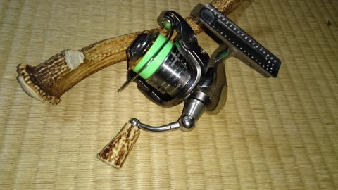 mfjbyko5mxj34vmr4wkd_480_480-2884191a.jpg
