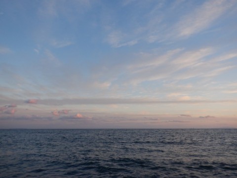 mfku3rwdhtcr7id9hmxu_480_480-23b6983d.jpg