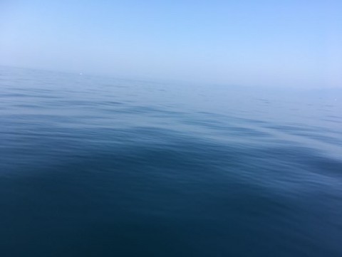 mfkvddy8vpdpwai7dpwa_480_361-f25a447c.jpg