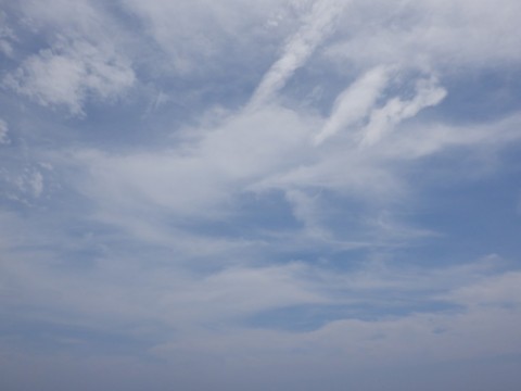 mfrku25hsijbwh2z9j9c_480_480-50b36534.jpg