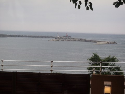 mfvf3ud2mex8hift6rpw_480_480-80107675.jpg