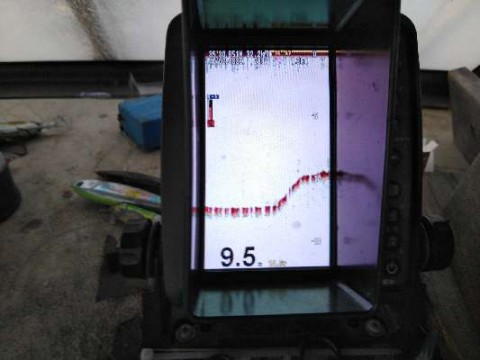 mg3pxhxmconf2gkp38e5_480_480-0a081c96.jpg