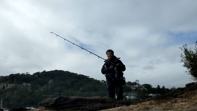 ブログ この早巻き法青物よく釣れてます