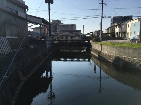 mgapovcmymu99psmziz9_480_480-4e4670a0.jpg