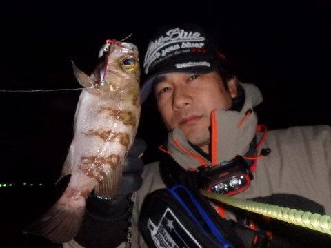 mgefw7sea54r7cykxfsf_480_480-34b4e72f.jpg