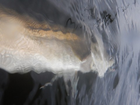 mghb99kf3rvk9vgpi7kd_920_690-341901c6.jpg