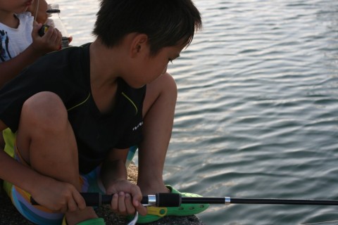 mghk2c5hscxvnnevke36_480_480-a3e6cc8d.jpg