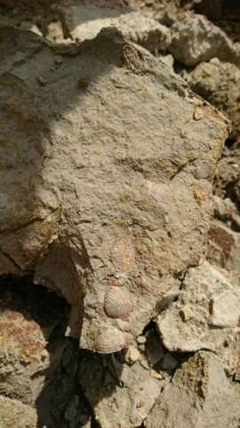 mgiywmur6yspwkn35ede_518_920-380024de.jpg