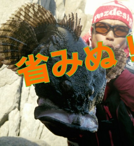 mgzc73pkhvnbucjuso2b_845_920-f084f6d6.jpg