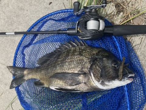 mh6ab9c8vykjaw6865u9_480_360-522b8e1d.jpg