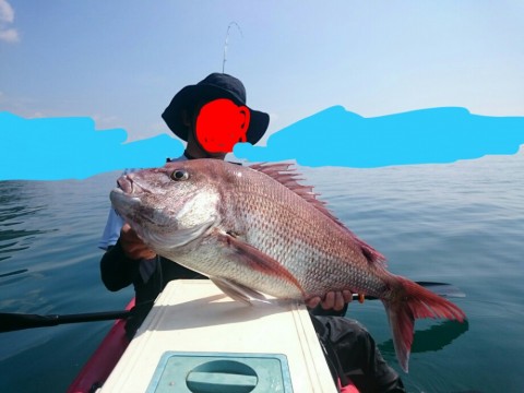 mhbhogzt889k4y8pz2x5_920_690-2ac75b74.jpg