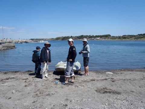 mhgfa4mf3m382hssfwt5_480_480-b42d3310.jpg